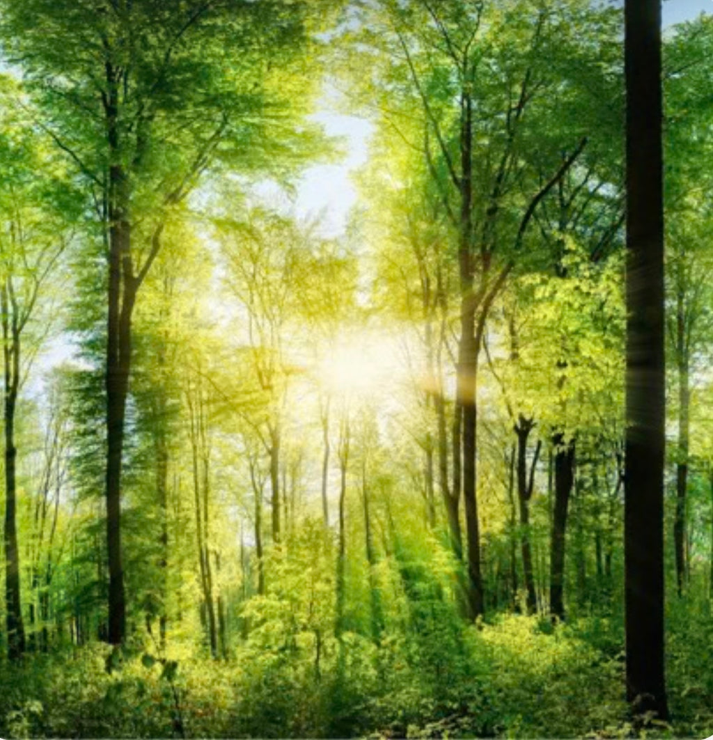 Wax Melts Snap Bars - wellness / spa scents